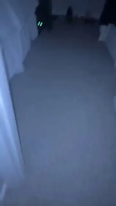 Spawned out of the darkness