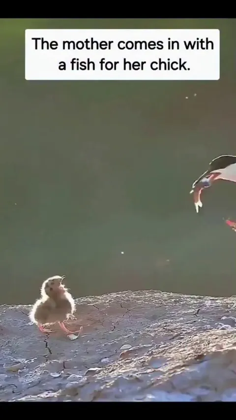 More Than It Can Handle