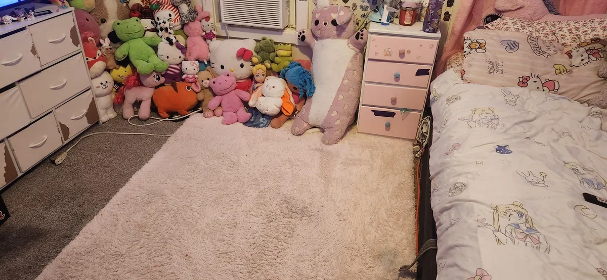 I did it! I finished cleaning my room!