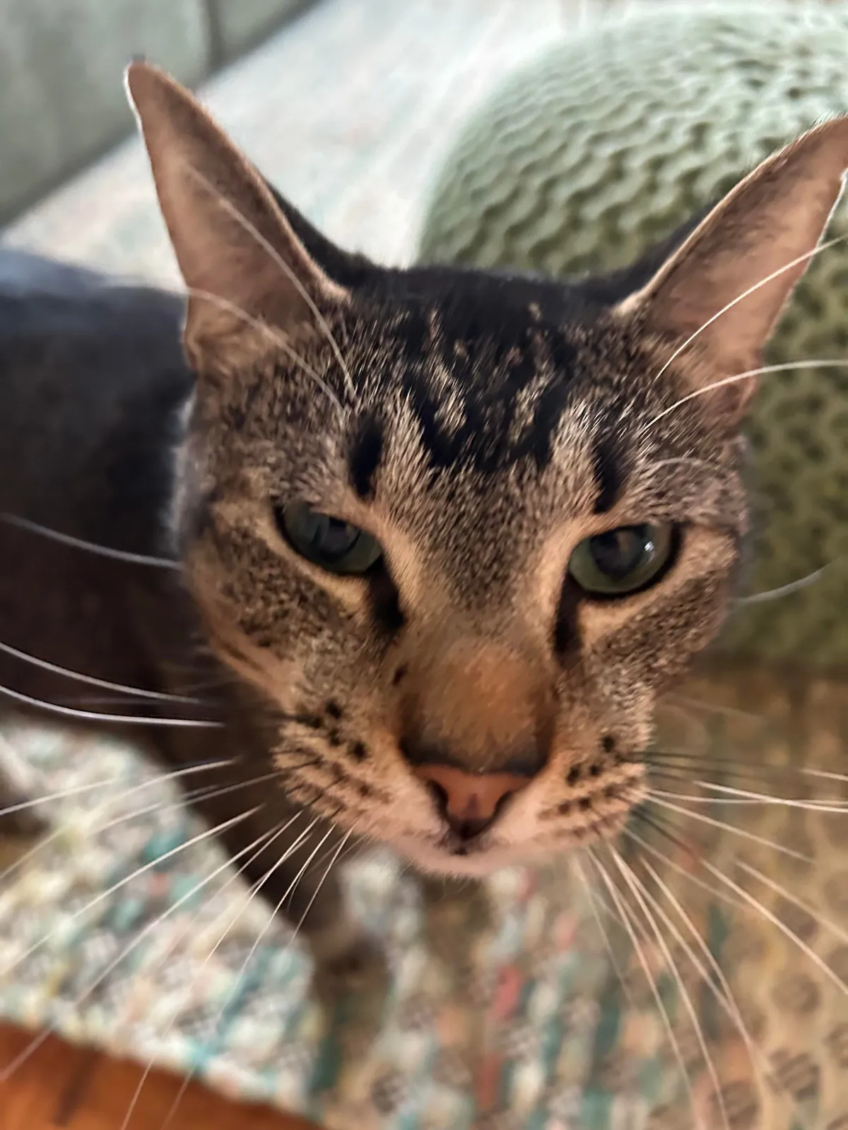 My first solo apartment - ATL, GA