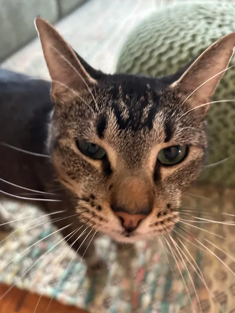 My first solo apartment - ATL, GA