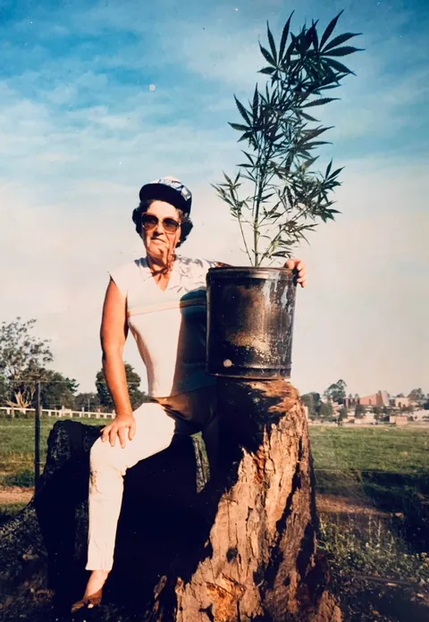 My grandparents with some “tomato plants” they “found”. Circa 1980’s Australia.
