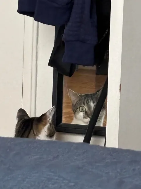 Jack staring at me through a mirror…