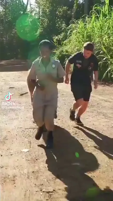 Baby elephants get embarrassed 😭