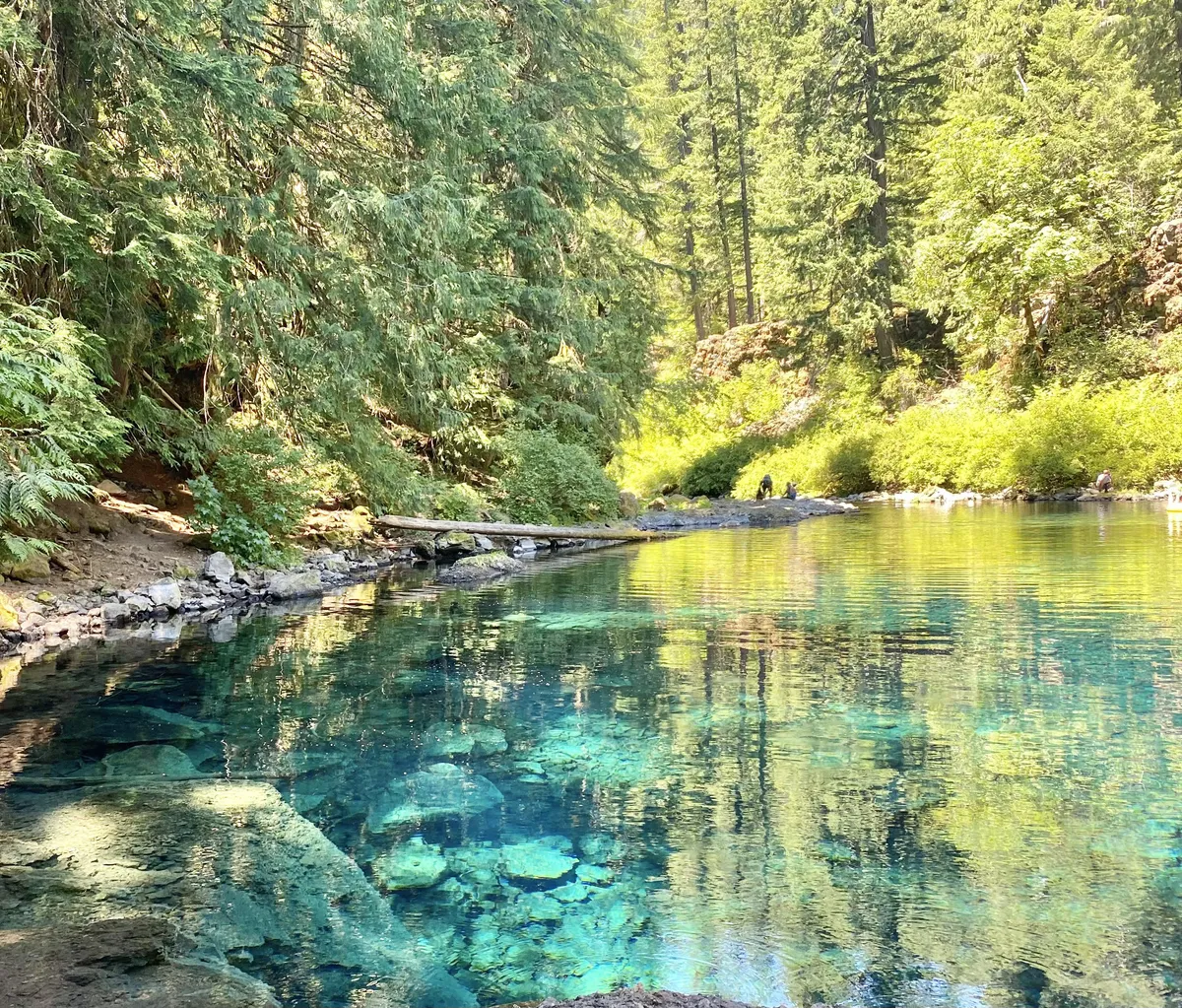 The color and clarity of this water