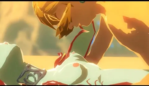 If I had a quarter for every time there was NFSW of Link, Zelda and Mipha…