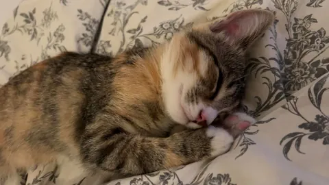 Got her 4 days ago and already can’t imagine life without her