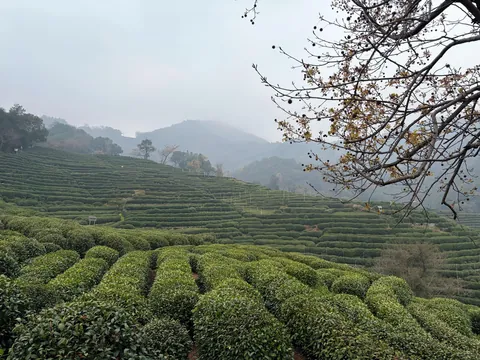 China in Pictures