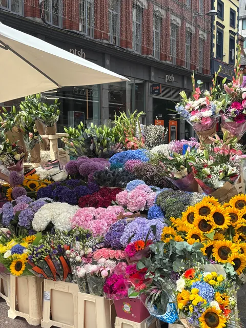 Solo Scotland/Dublin Trip!