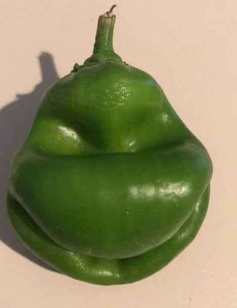PsBattle: The green pepper