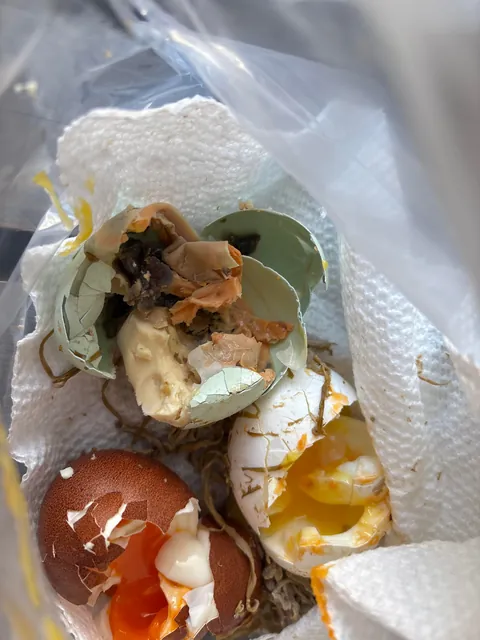 WTF happened to my eggs when I boiled them?