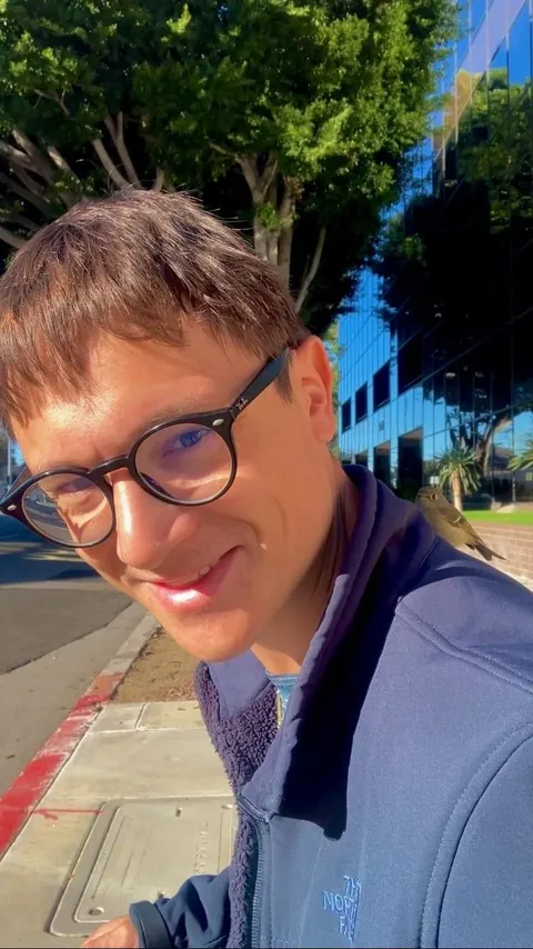 Saved a bird in shock on the sidewalk from being stepped on (first pic is just before I released it!)