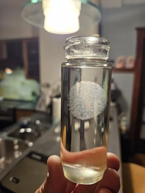 Fuzzy sphere formed in my forgotten simple syrup 
