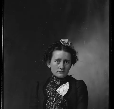 the dry plate negative saga continues