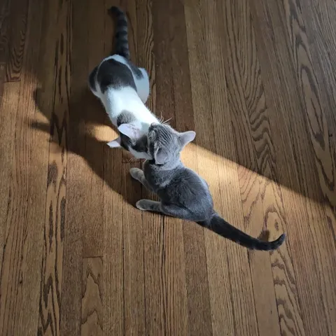 She may be almost as big as mom but she's still her baby.