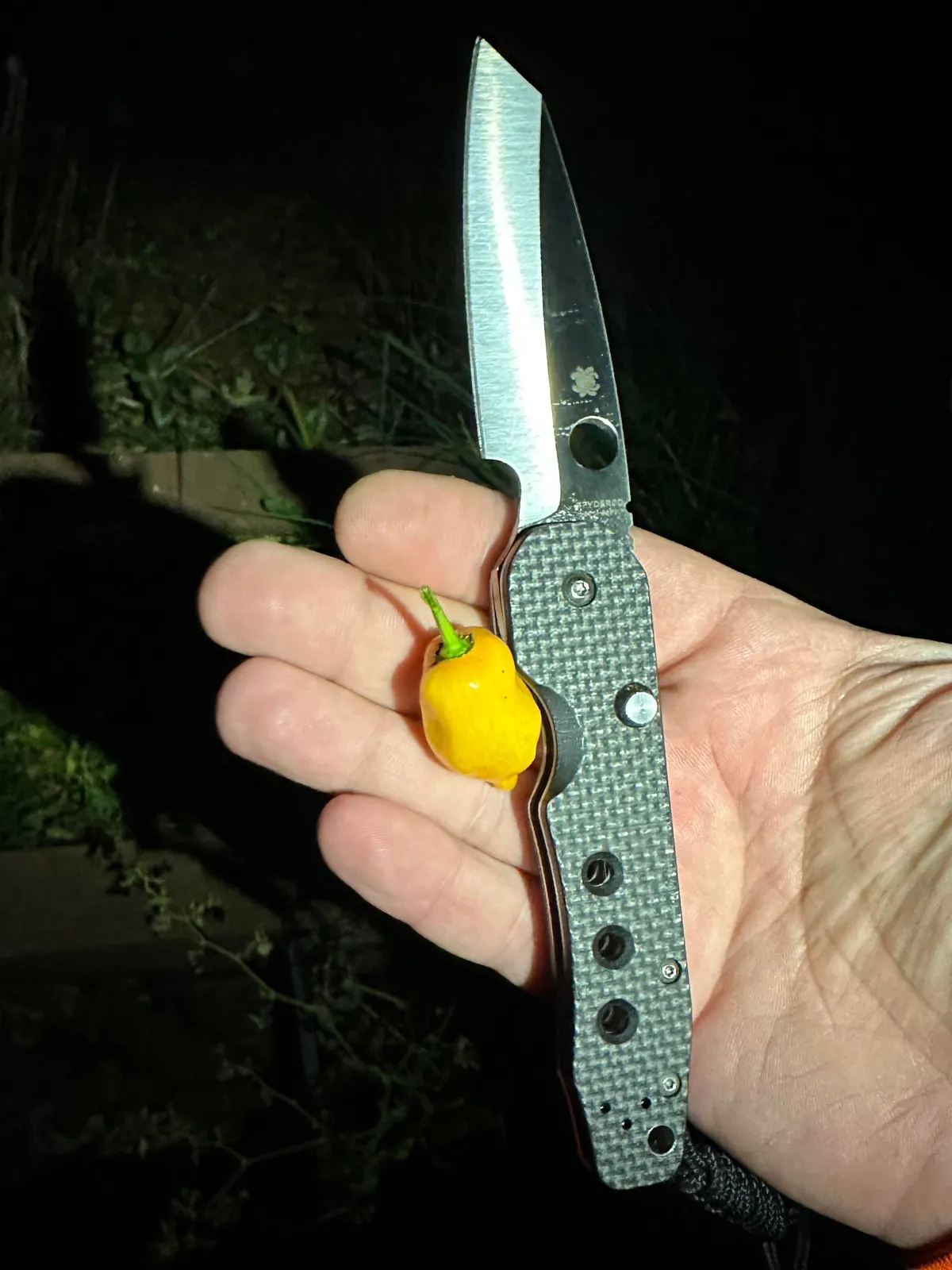 [homemade] salami, granny ham, baby swiss and other stuff.