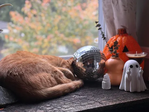 No Sunday scaries here on this cozy evening