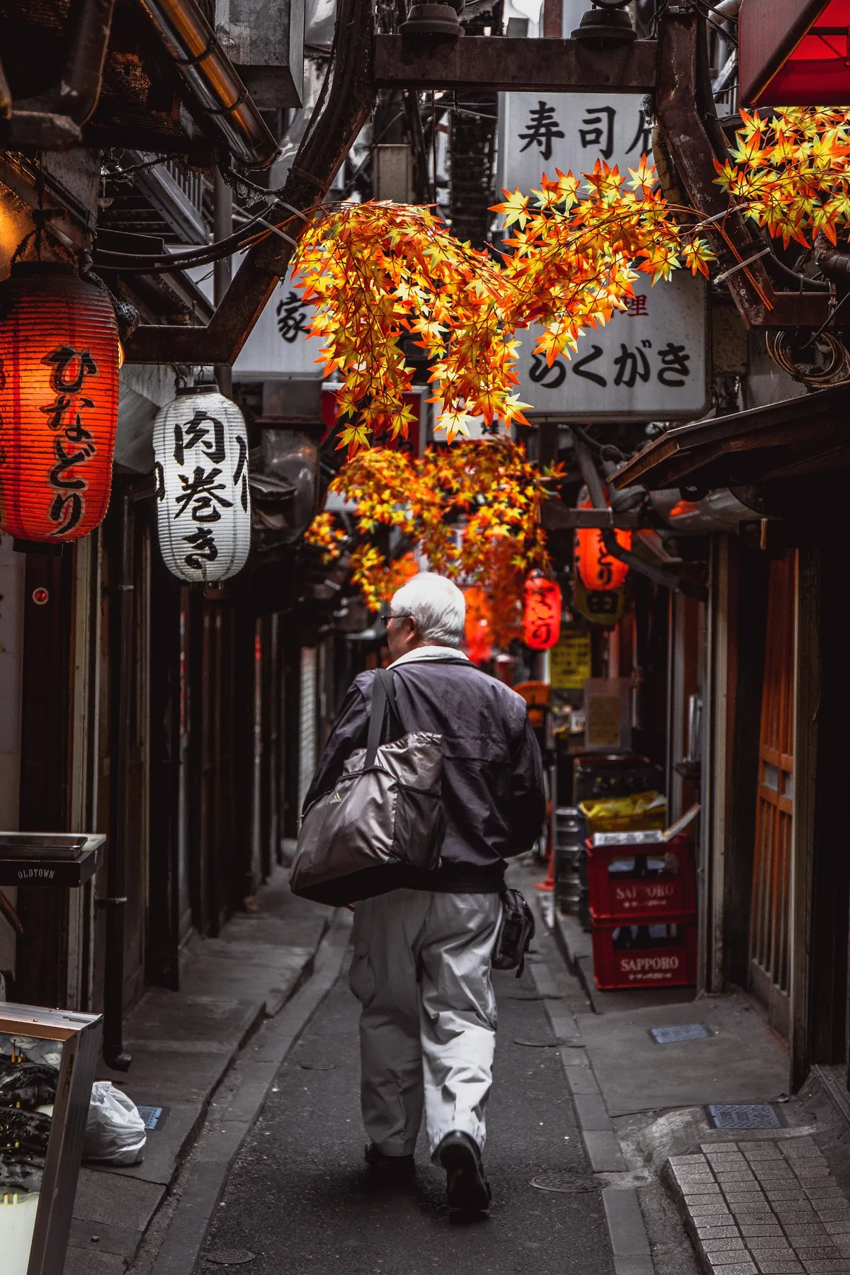 My favorite part of Tokyo was just wandering the alleys.