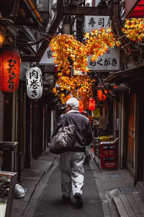 My favorite part of Tokyo was just wandering the alleys.