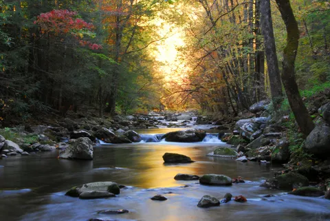 Great Smoky Mountains, TN [OC] [3872x2592]