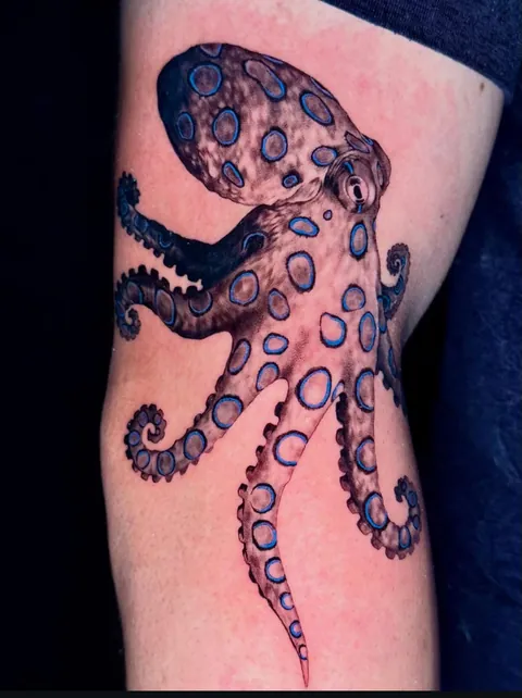 Blue ringed octopus by @camreyleeink in slc!