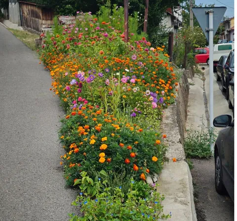 Something I made from seeds only