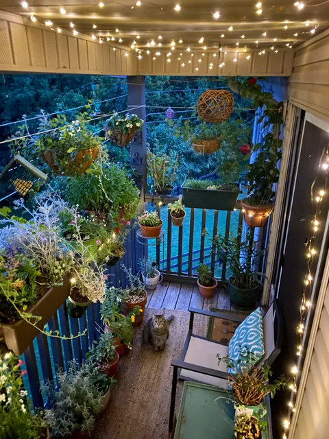 r/gardening told me you guys might like my patio.