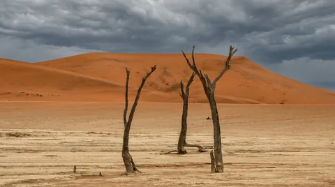 A few months ago, I hopped in my Renault Clio and took a month-long solo camping trip across Namibia.