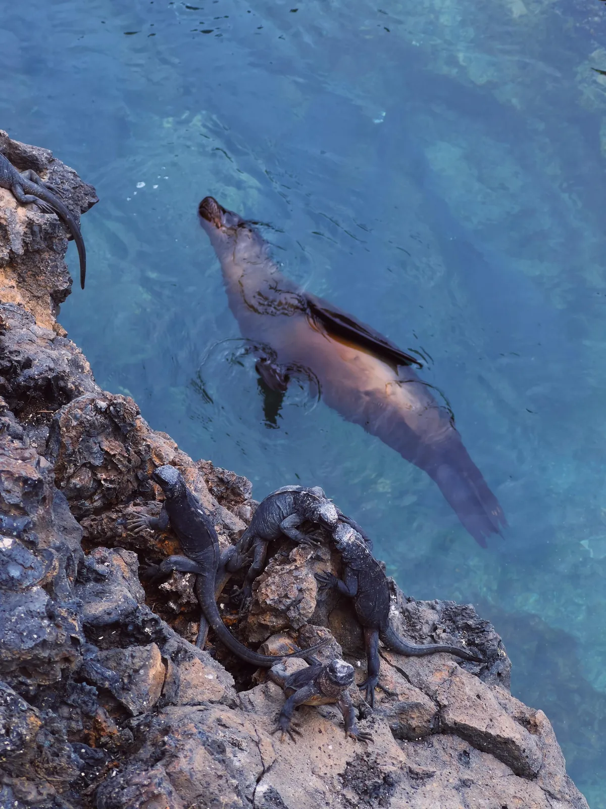 5 days in Galapagos in Sep 2025.