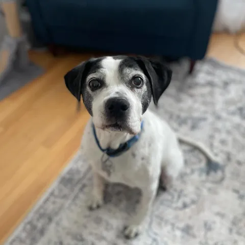 My boy turns 14 today