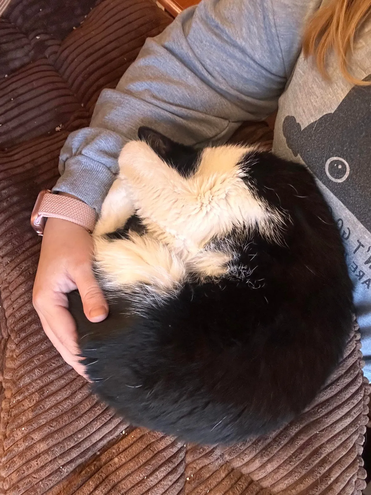 I volunteer at a cat hospice and it’s a place full of love