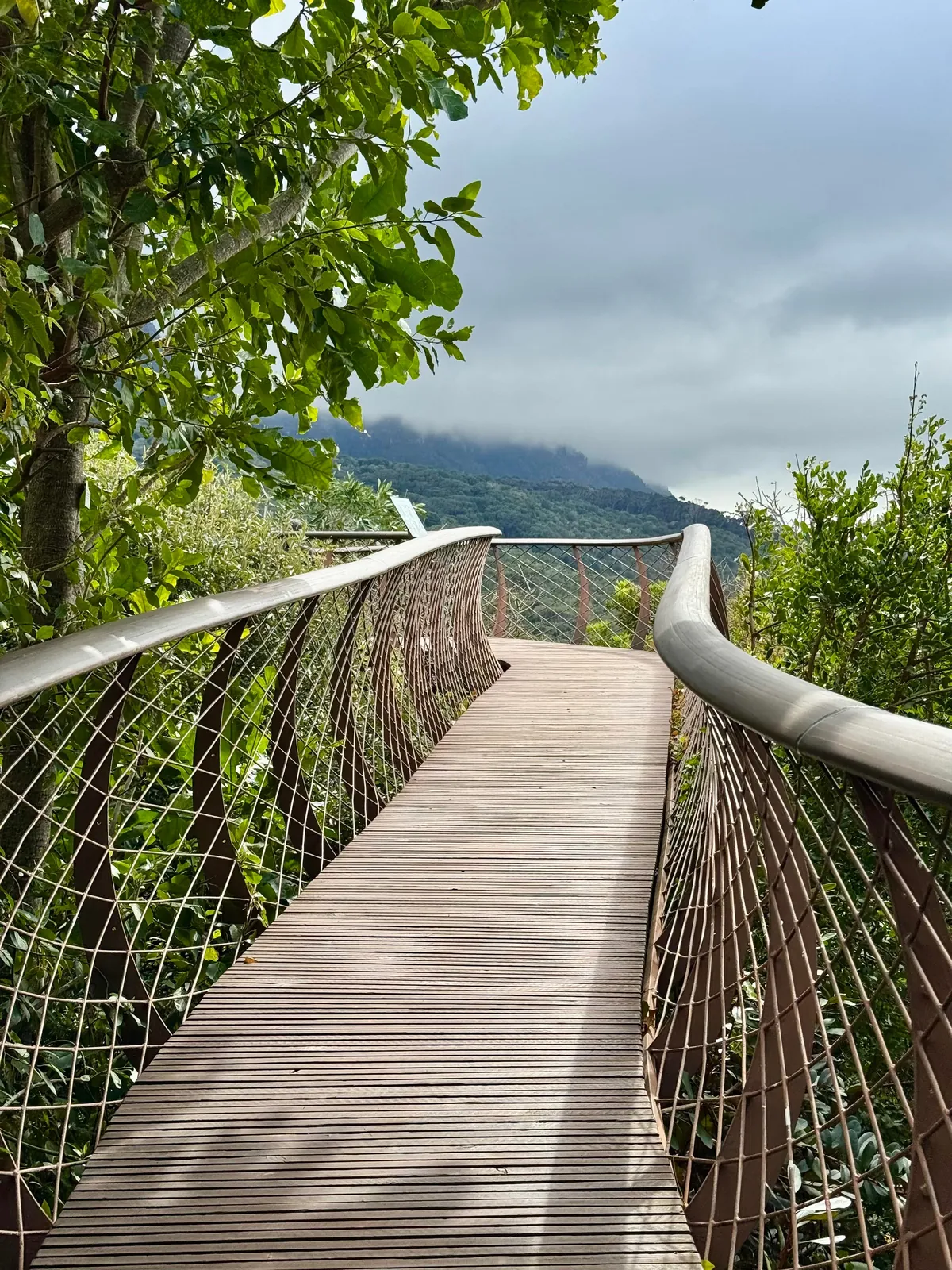 Cape Town is my favorite new city!