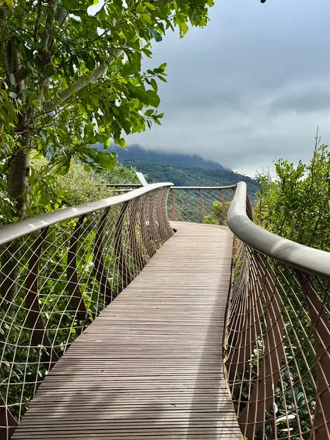 Cape Town is my favorite new city!