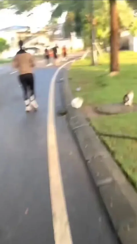 Patting cats along the way like they’re Mario gold coins.