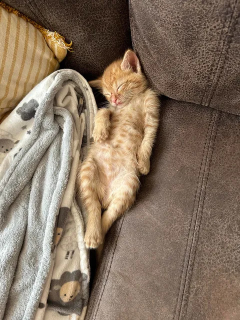 It’s always something