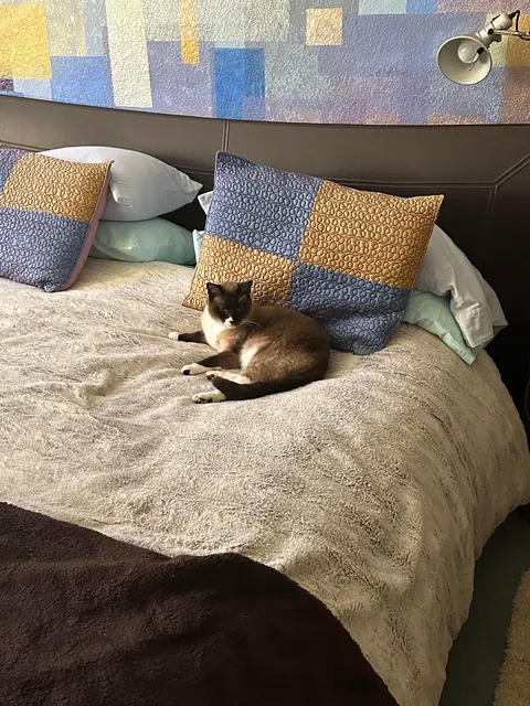 My buddy is gone 2019-2025