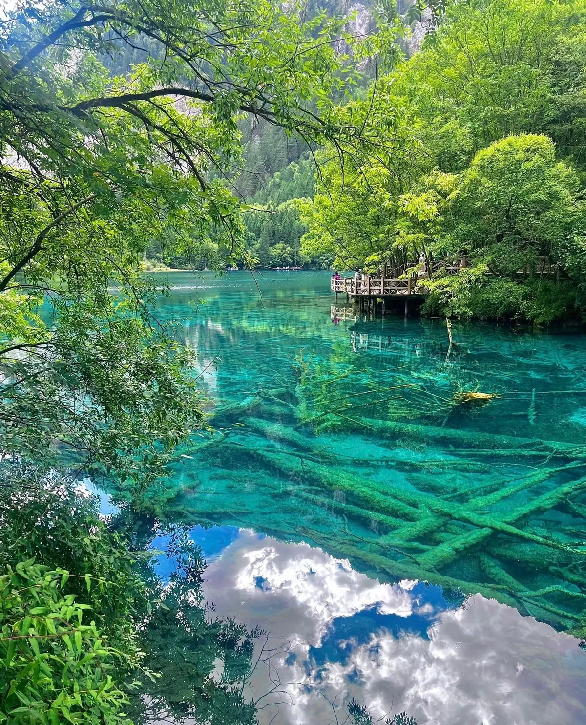 Visiting Jiuzhaigou felt like stepping into a painting