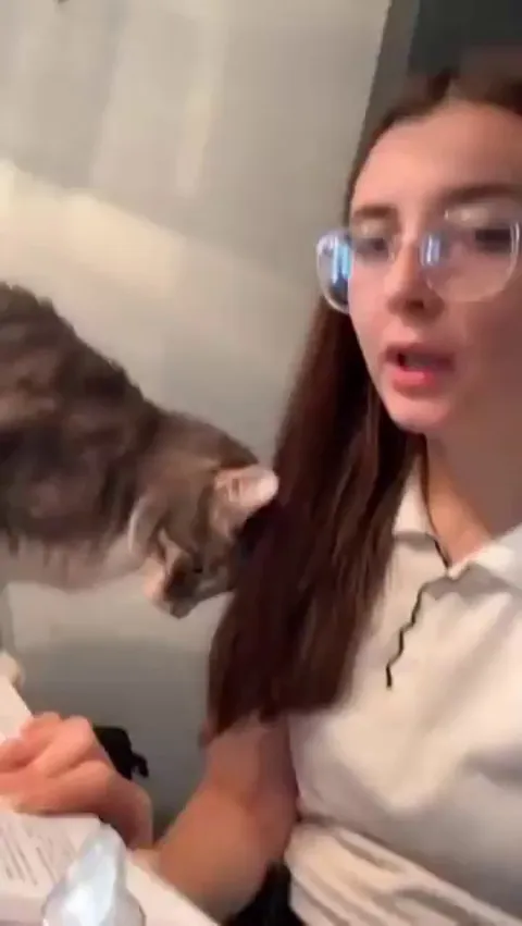 Self defence technique against cats