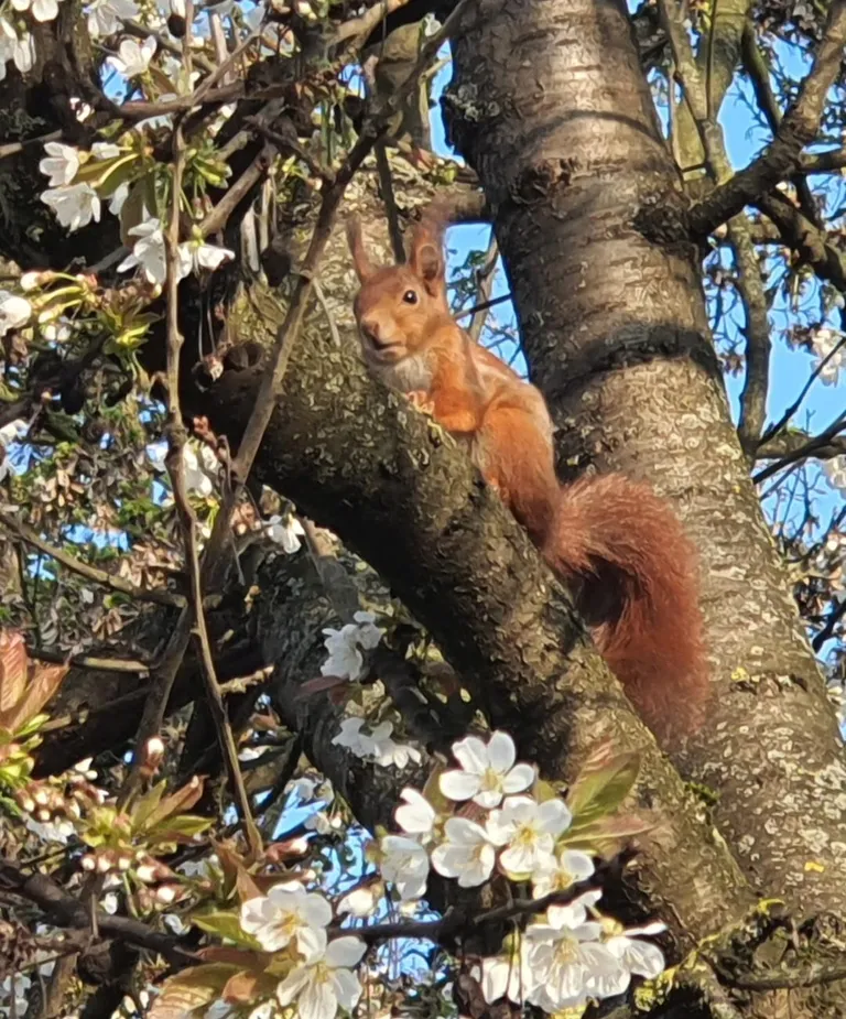 🔥 A walk in the park