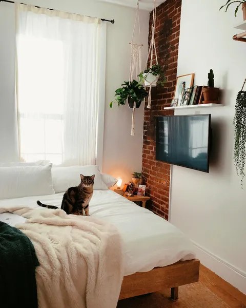 Just moved to Brooklyn a few months ago. After a long day in Manhattan, this is my little slice of heaven.