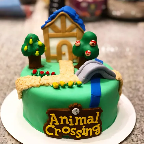 My wife made an Animal Crossing cake for our 8 yr olds bday!