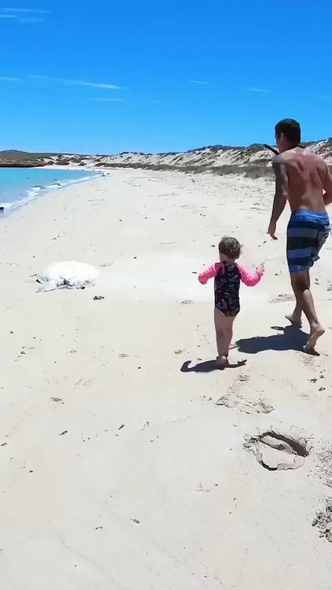 This turtle is rescued from a hopeless situation; her partner is already waiting for her. Very good job!