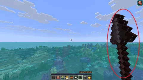 Why Hasn’t Mojang Fixed This Bug in 11 Years? It Looks Horrible