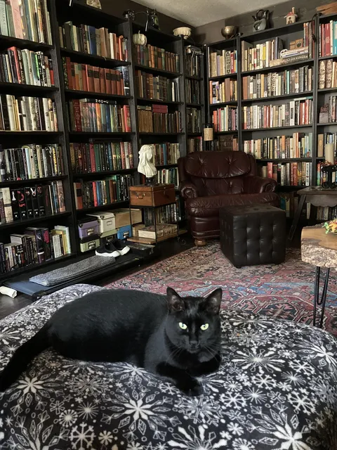 1st post got deleted because of my shoes. Here is a daytime shot.