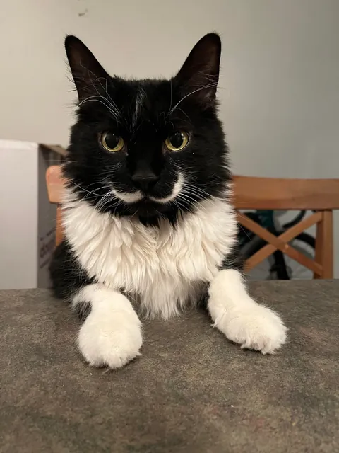 What I asked for VS What I got!