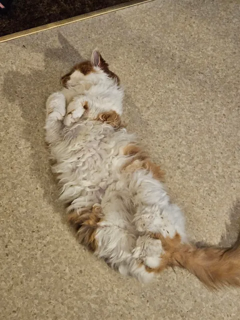 I loved you for 10 years and 1 day