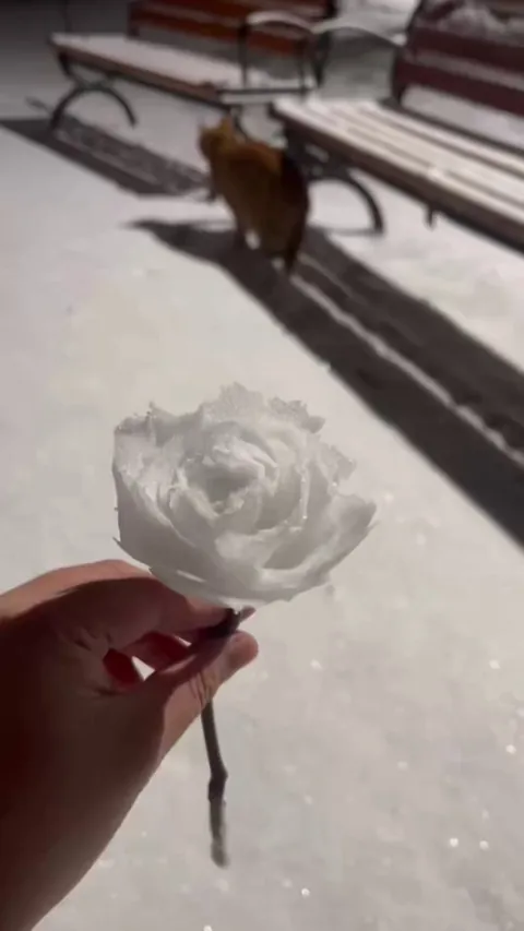 Turning snow into roses by hand