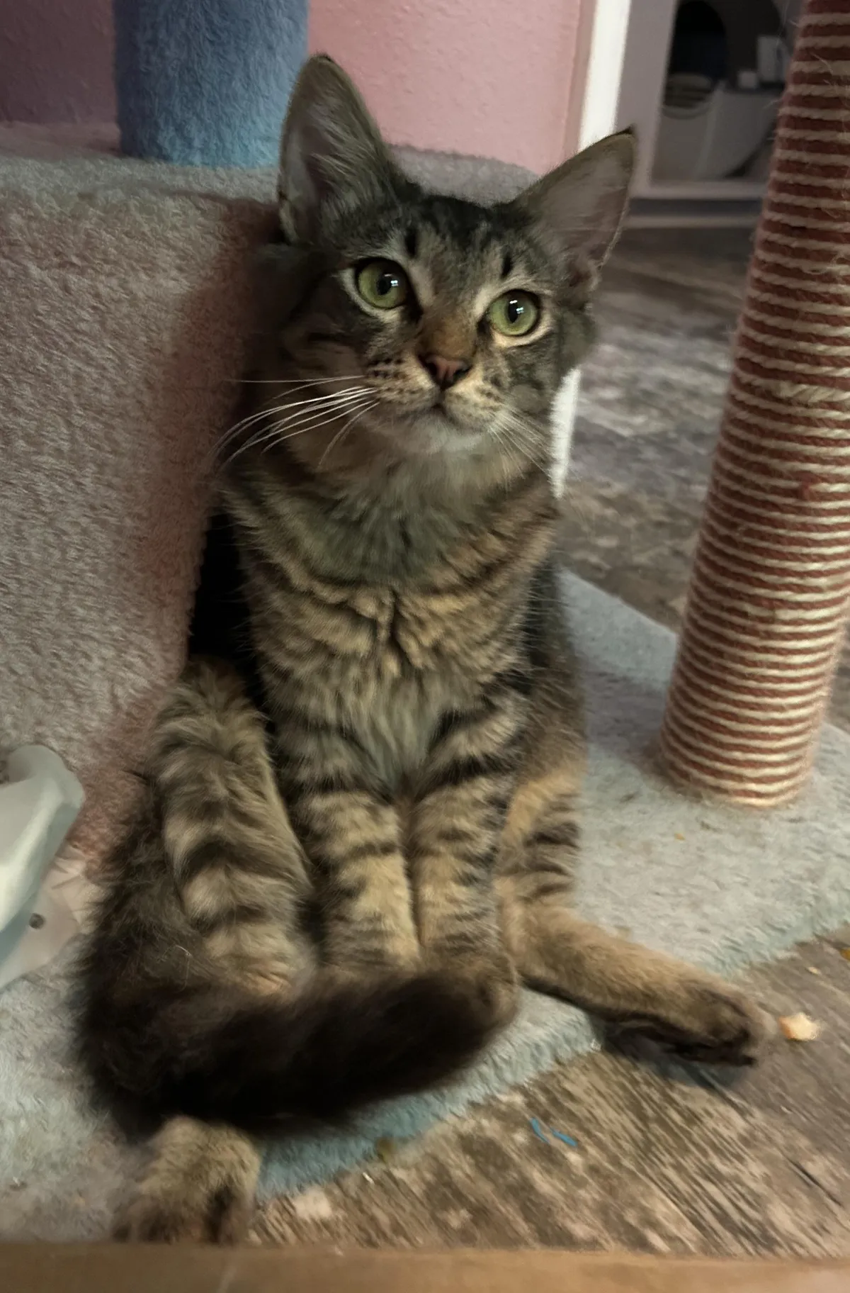My 6 month old baby boy! He sits like a person :)