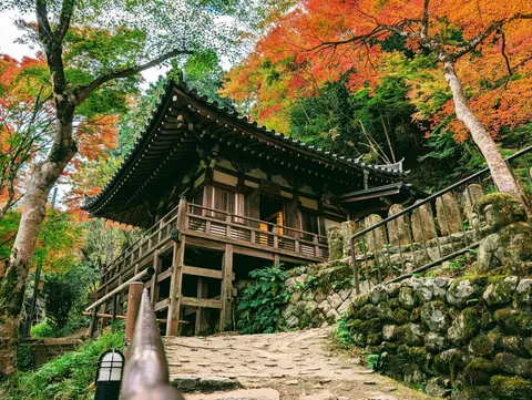 Japan in November 2025 - pure magic