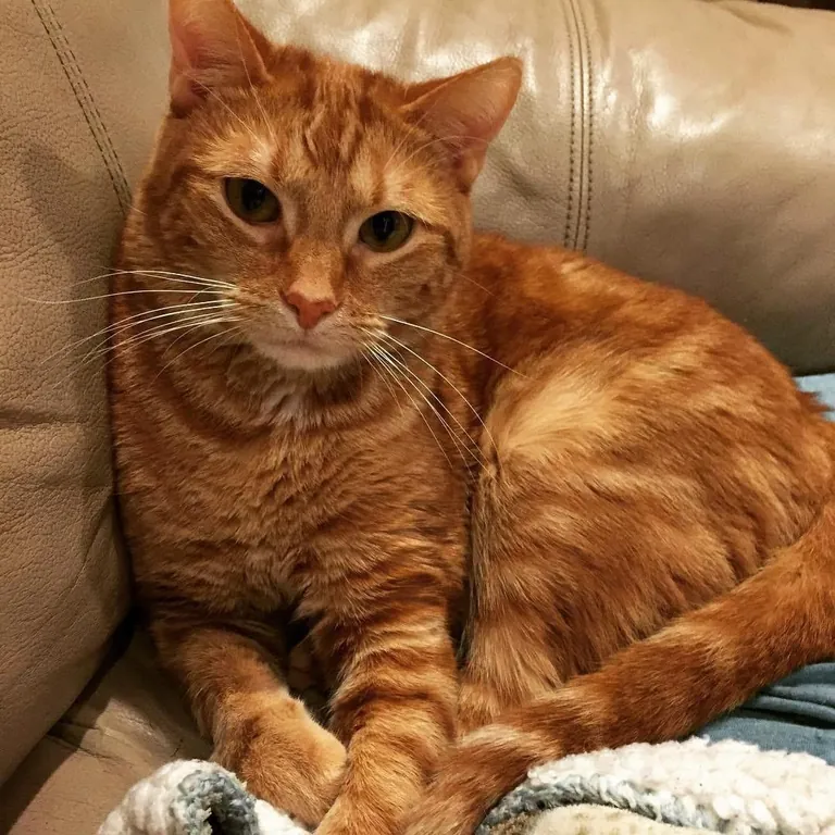 I said goodbye to my best friend this morning, and I’m having trouble believing I made the right choice